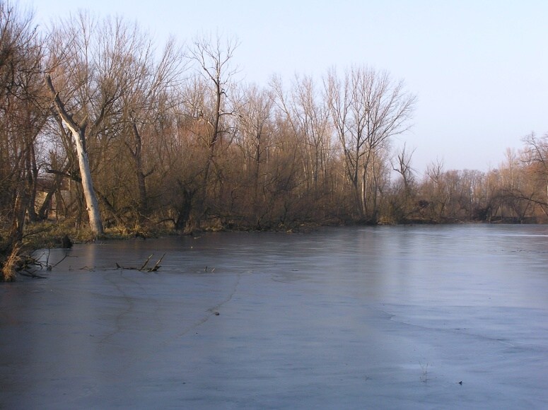 005 Tůně v Zelčíně 29.12.2007
