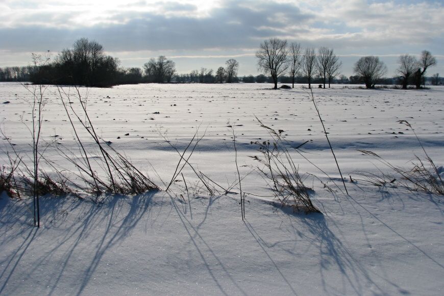 043 Pole a lužní lesy před Zelčínem 28.12.2010