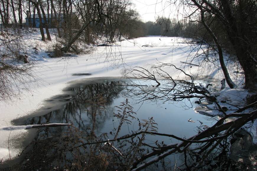 047  Zelčínská tůň 28.12.2010