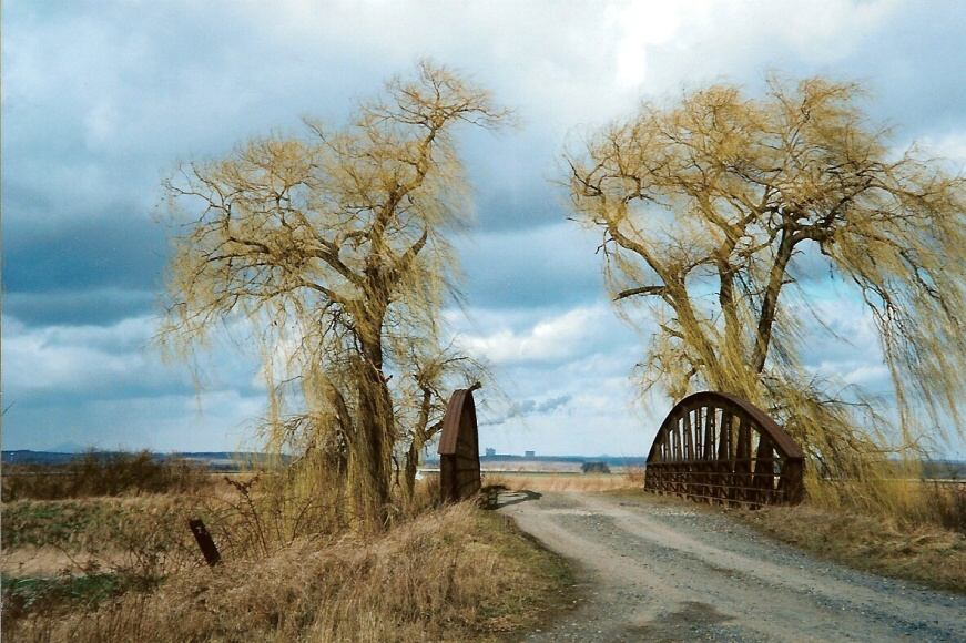 056 Most před Zelčínem a smuteční vrba v r.1999 (foto Jiří Tomek)