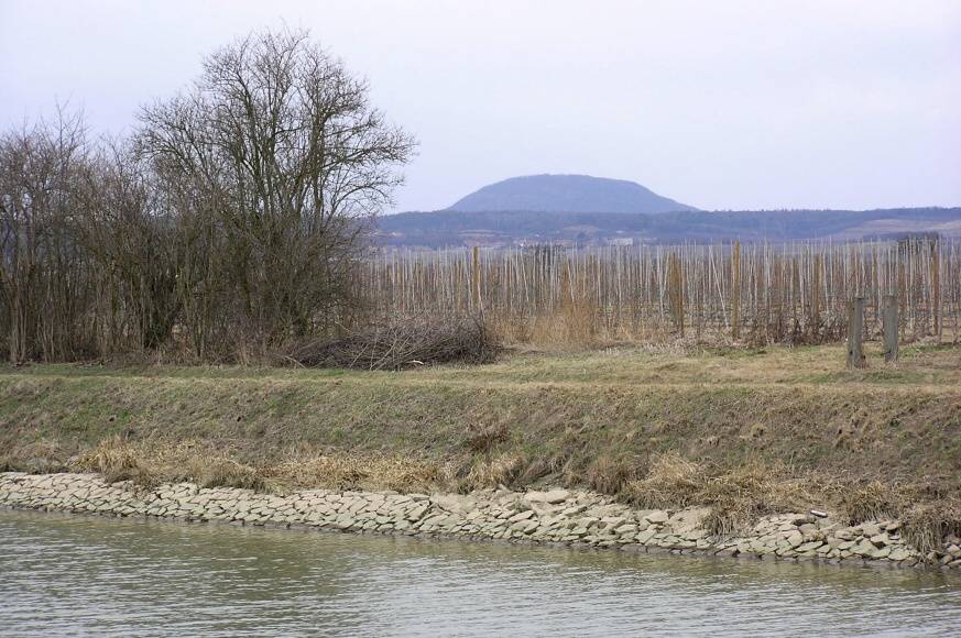 098 Za Chramostkem, pohled na horu Říp 30.6.2006