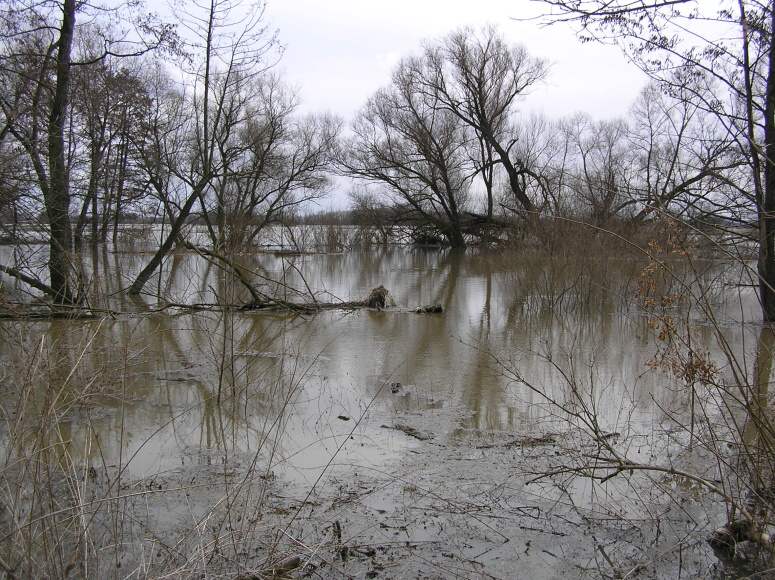 106 -09  Chramostek  - povodeň  30.3.2006