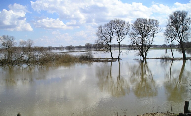 106 -24 Chramostek - povodeň 30.3.2006 (foto Petr Zeman)