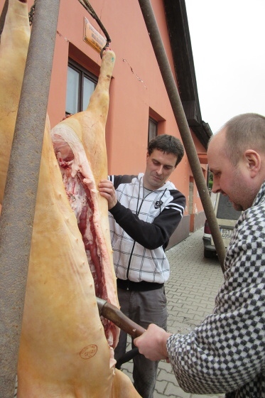 003 (Foto L.Tomek)